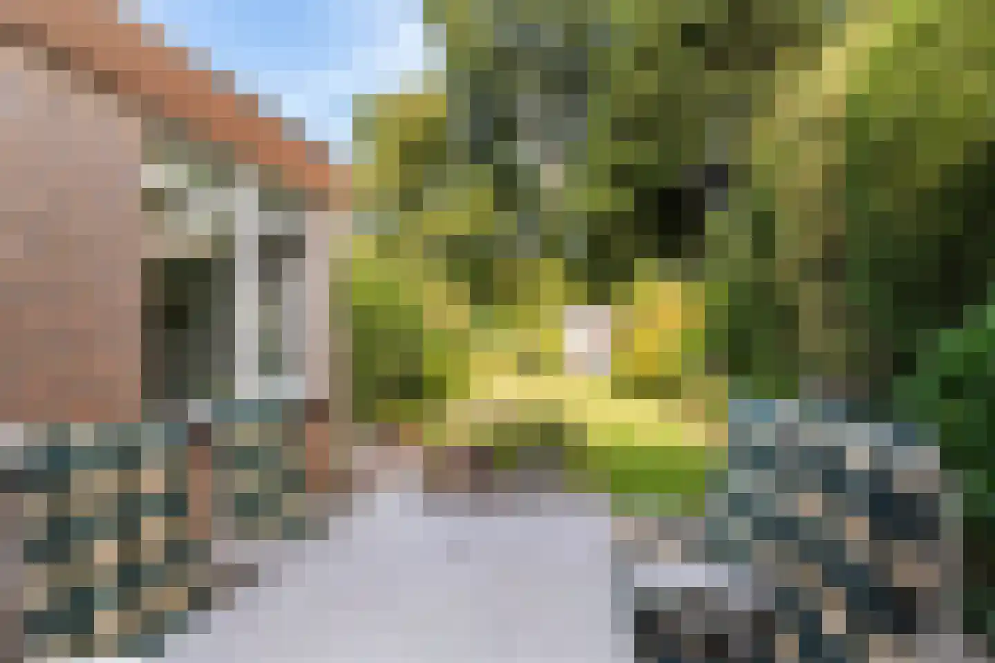 Vijfde Rompert 3 's-Hertogenbosch thumbnail 26