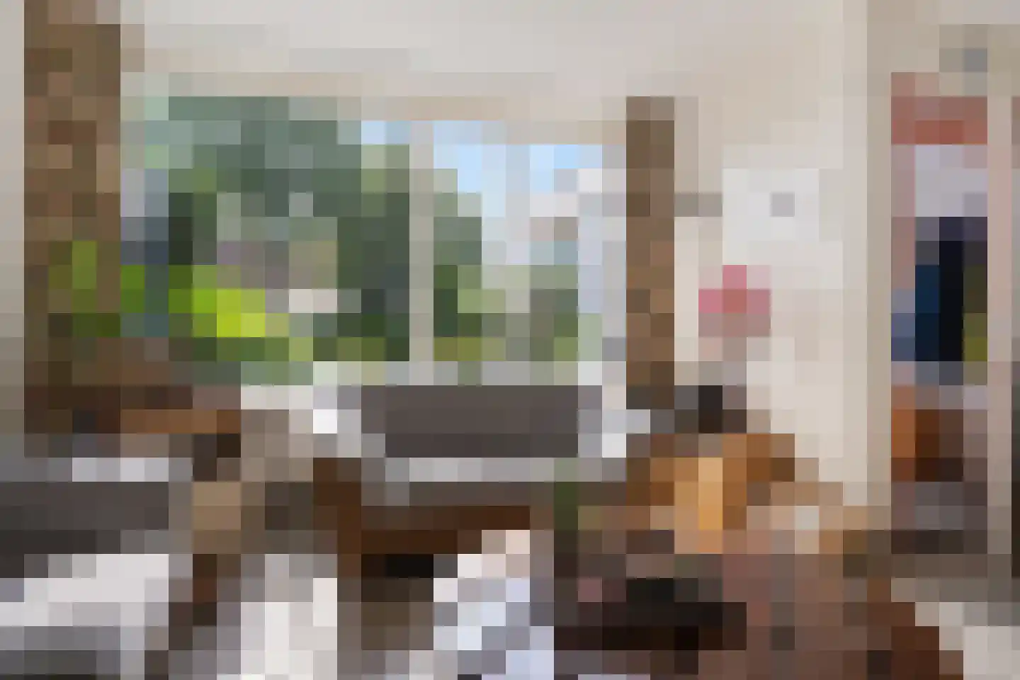 Vijfde Rompert 3 's-Hertogenbosch thumbnail 4