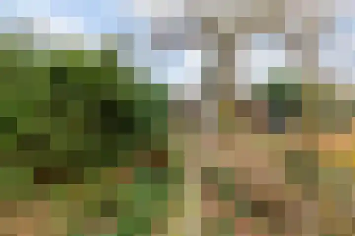 Vijfde Rompert 30 's-Hertogenbosch thumbnail 26