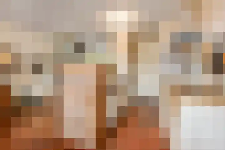 Vijfde Rompert 30 's-Hertogenbosch thumbnail 5