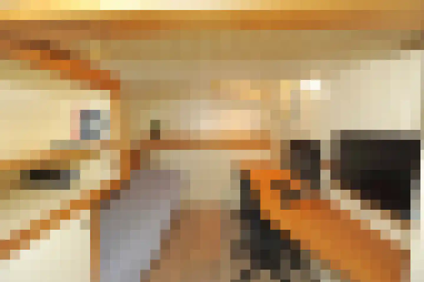 Vijfde Uitgang 1 d Gorinchem thumbnail 29