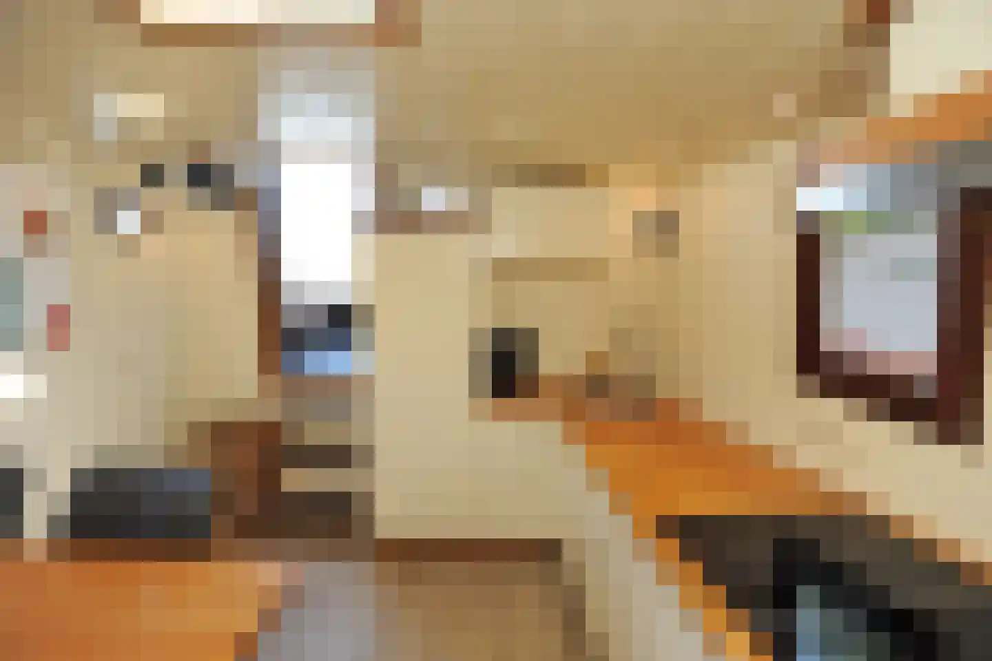 Vijfde Uitgang 1 d Gorinchem thumbnail 8