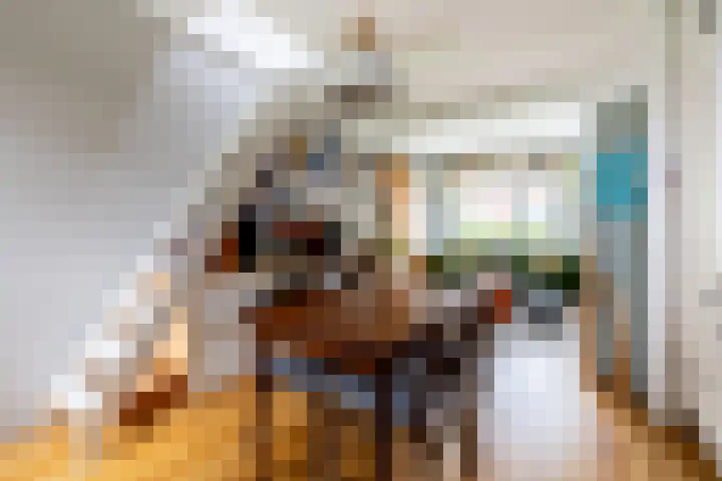 Vijfde Vogelstraat 6 Amsterdam thumbnail 16
