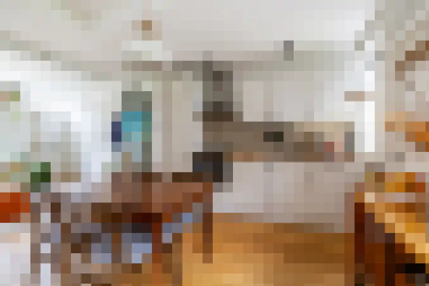 Vijfde Vogelstraat 6 Amsterdam thumbnail 17