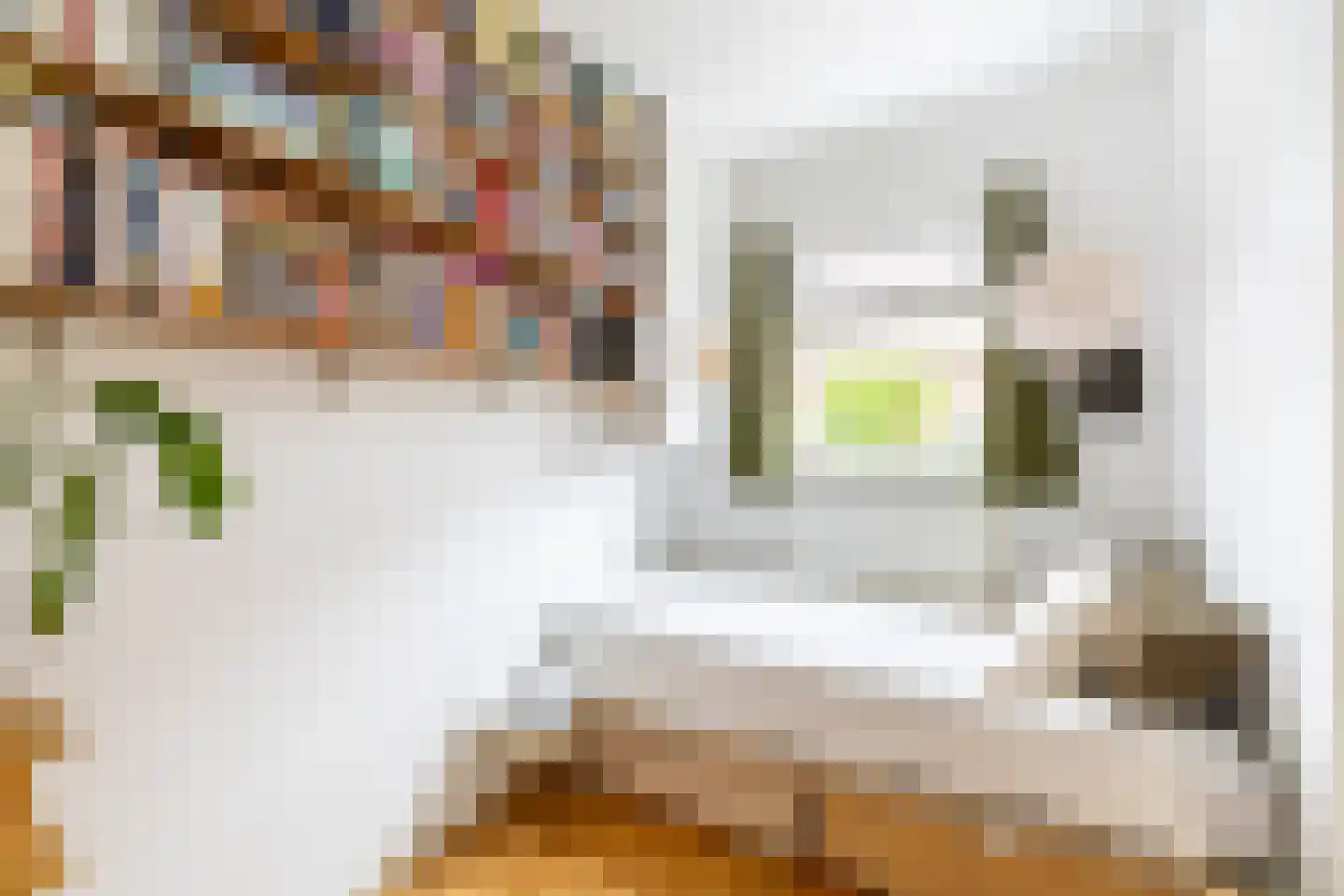Vijfde Vogelstraat 6 Amsterdam thumbnail 22