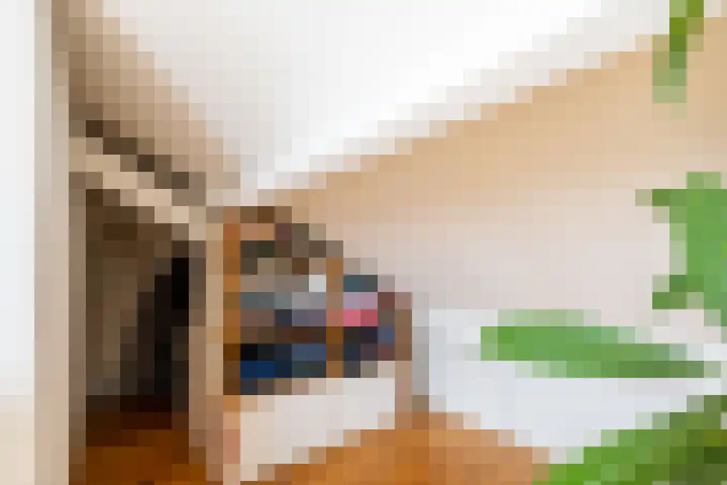 Vijfde Vogelstraat 6 Amsterdam thumbnail 31