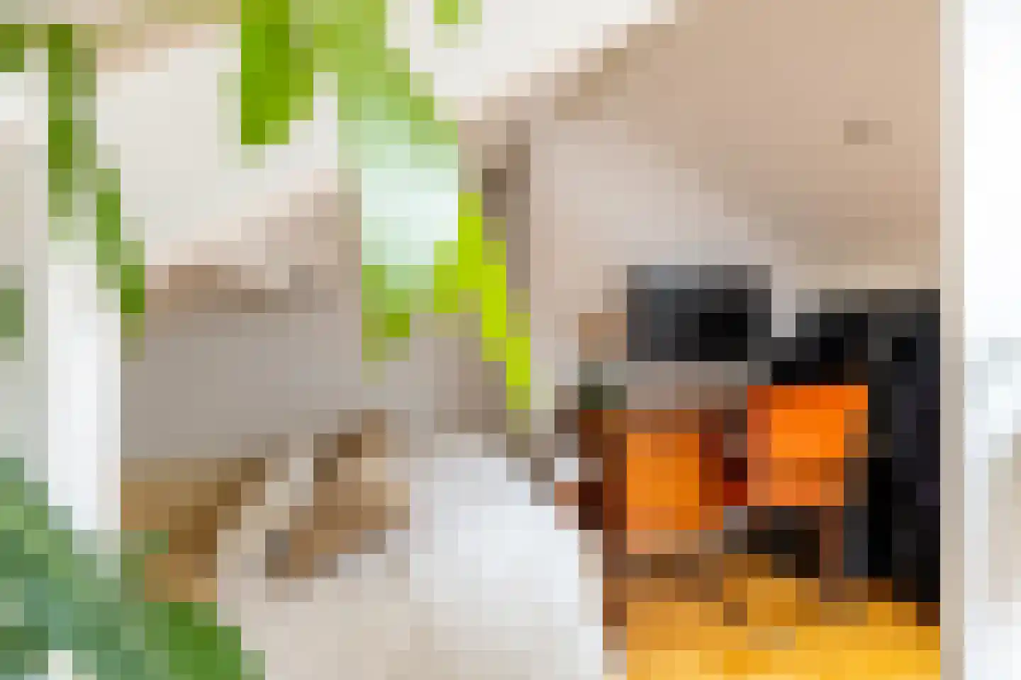 Vijfde Vogelstraat 6 Amsterdam thumbnail 32