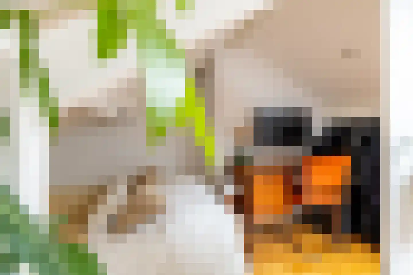Vijfde Vogelstraat 6 Amsterdam thumbnail 32