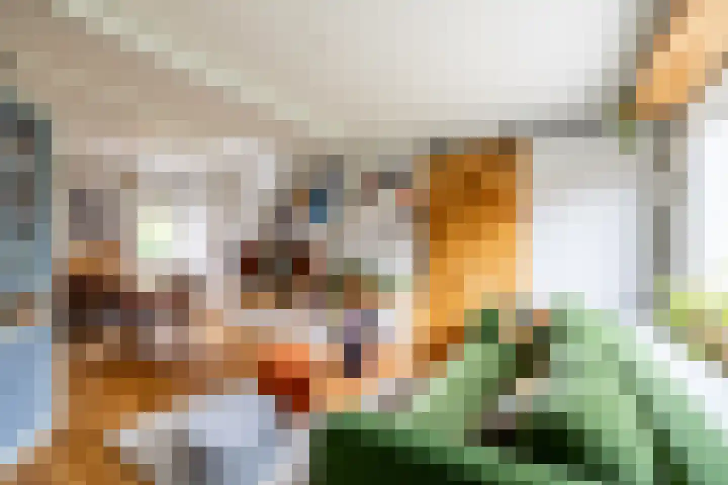 Vijfde Vogelstraat 6 Amsterdam thumbnail 8