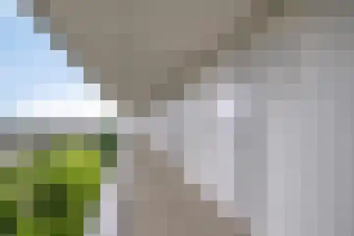 Vijfhagen 110 Breda thumbnail 11