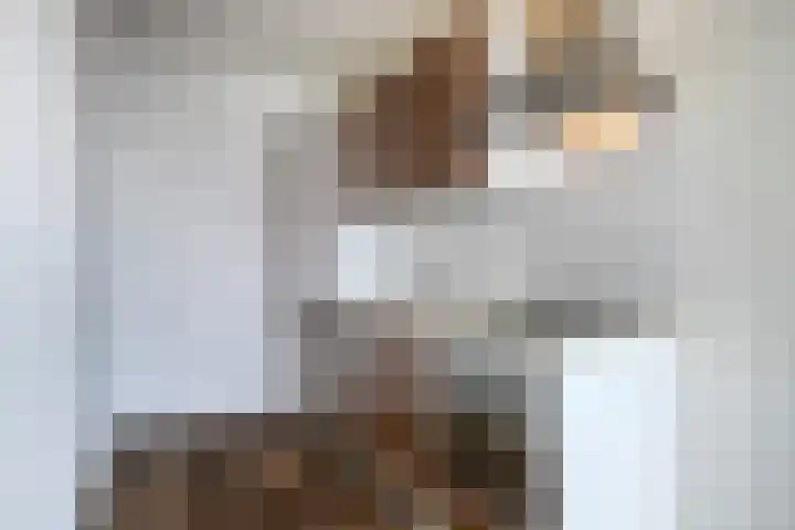 Vijfhagen 110 Breda thumbnail 16
