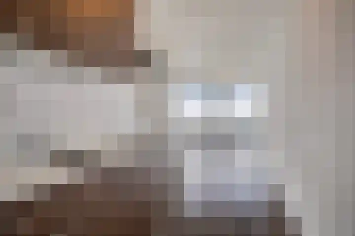 Vijfhagen 110 Breda thumbnail 17