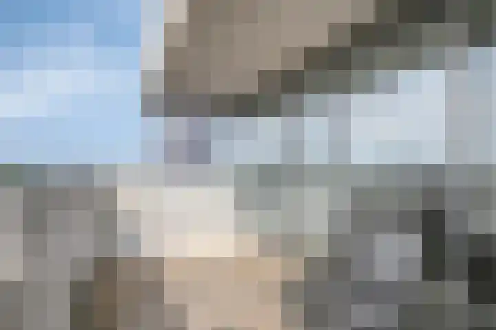 Vijfhagen 110 Breda thumbnail 23