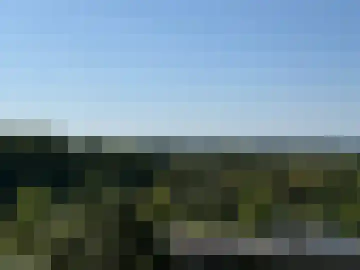 Vijfhagen 110 Breda thumbnail 24