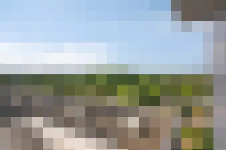 Vijfhagen 110 Breda thumbnail 27