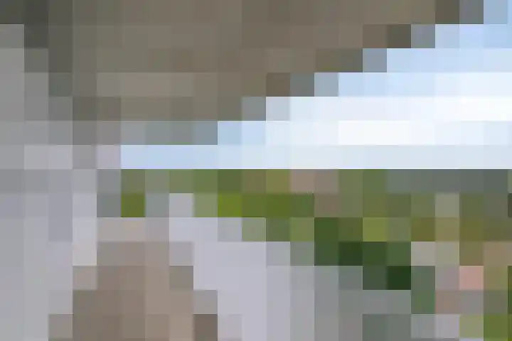 Vijfhagen 110 Breda thumbnail 28