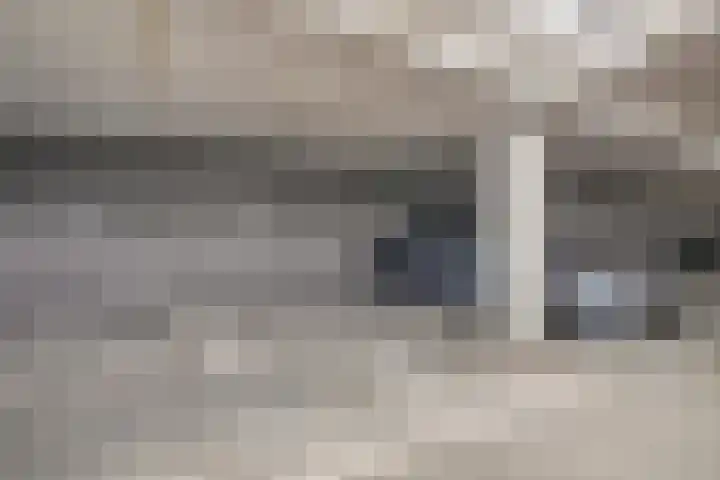 Vijfhagen 110 Breda thumbnail 29