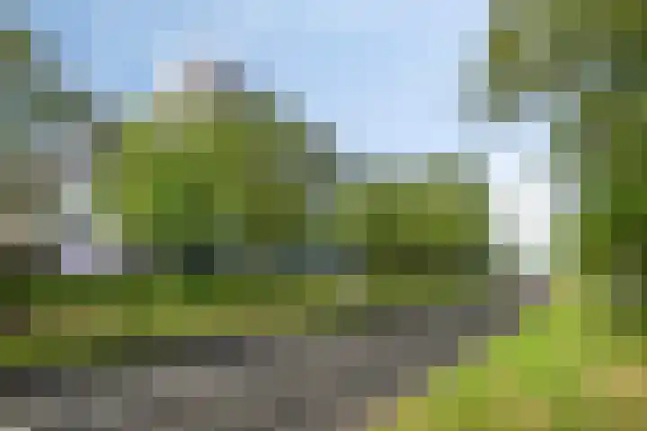 Vijfhagen 110 Breda thumbnail 31