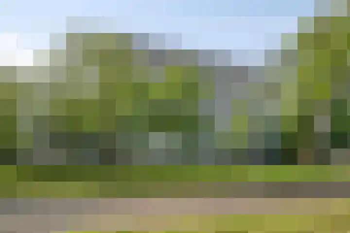 Vijfhagen 110 Breda thumbnail 34
