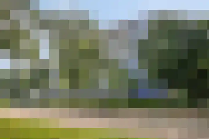 Vijfhagen 110 Breda thumbnail 7