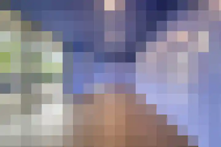 Vijfhagen 110 Breda thumbnail 8