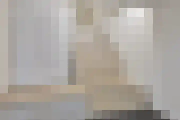 Vijfhagen 117 Breda thumbnail 12