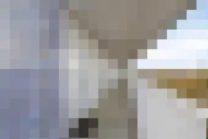 Vijfhagen 117 Breda thumbnail 13
