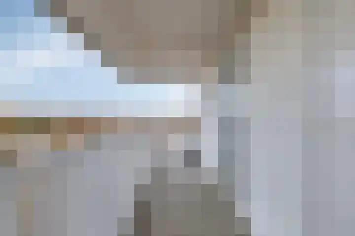 Vijfhagen 117 Breda thumbnail 14