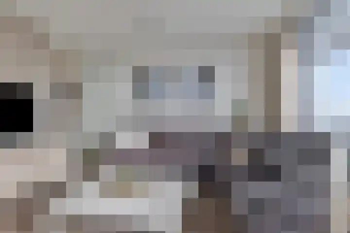 Vijfhagen 117 Breda thumbnail 19