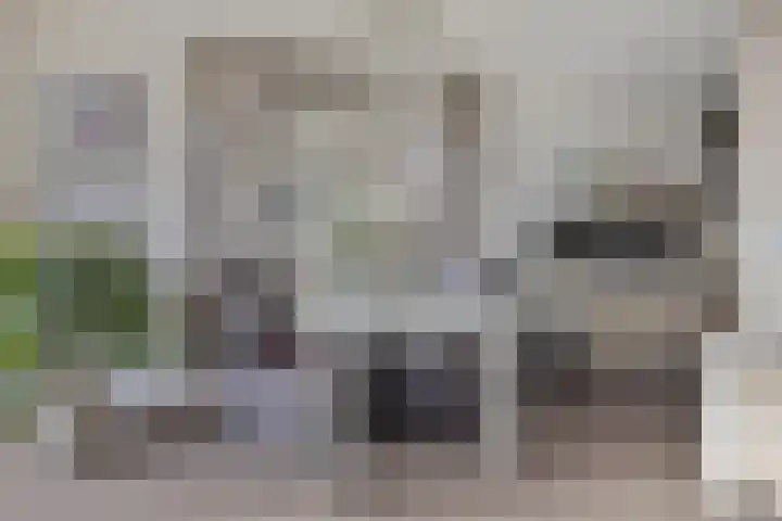 Vijfhagen 117 Breda thumbnail 20