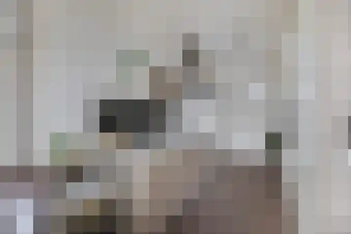 Vijfhagen 117 Breda thumbnail 23