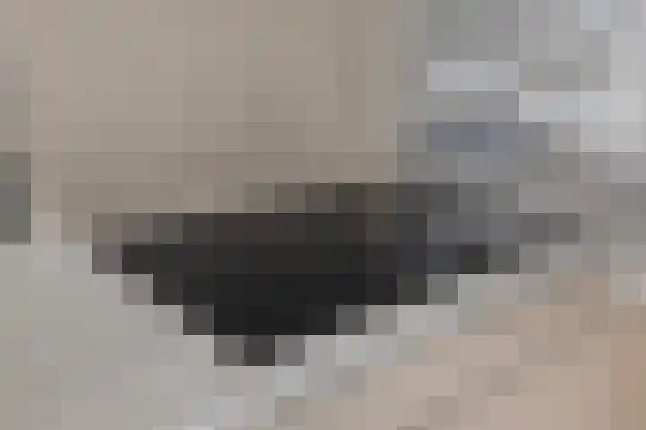 Vijfhagen 117 Breda thumbnail 25