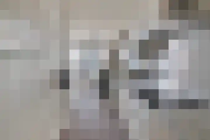 Vijfhagen 117 Breda thumbnail 27