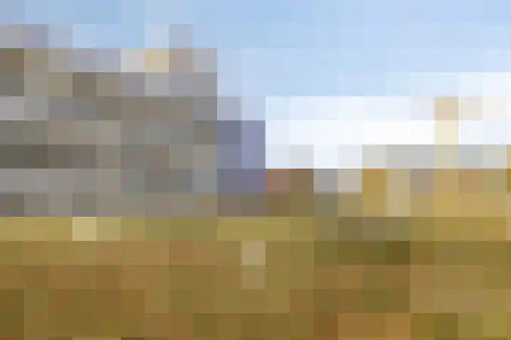 Vijfhagen 117 Breda thumbnail 38