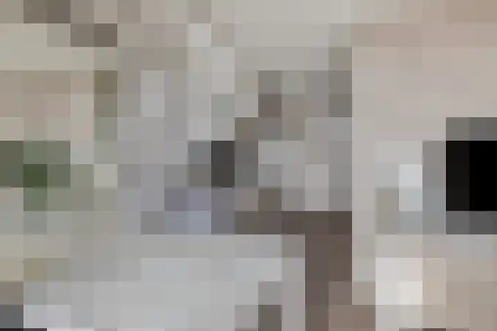 Vijfhagen 117 Breda thumbnail 5