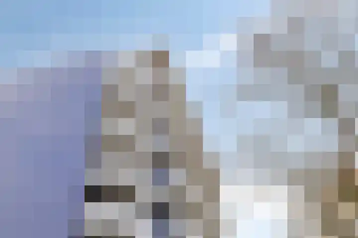 Vijfhagen 117 Breda thumbnail 7