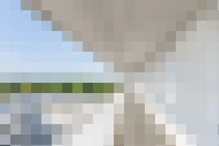 Vijfhagen 123 Breda thumbnail 11