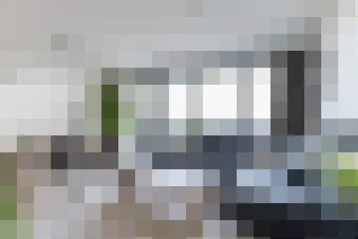 Vijfhagen 123 Breda thumbnail 14
