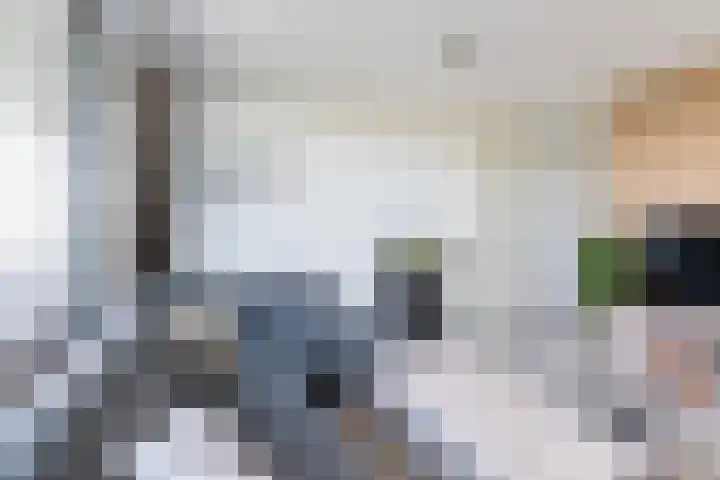 Vijfhagen 123 Breda thumbnail 15