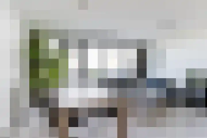 Vijfhagen 123 Breda thumbnail 16