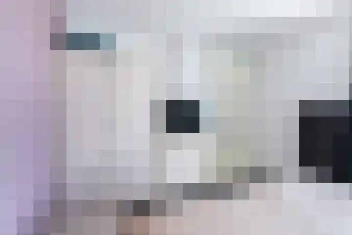 Vijfhagen 123 Breda thumbnail 23
