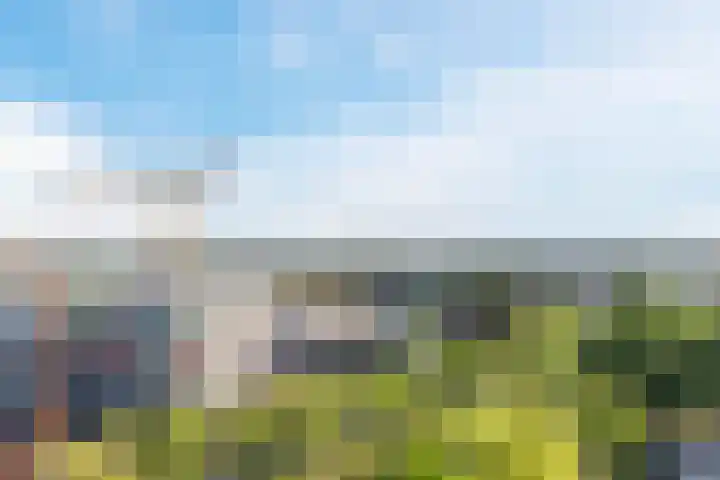 Vijfhagen 123 Breda thumbnail 30