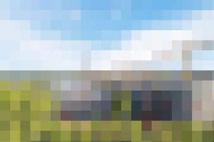 Vijfhagen 123 Breda thumbnail 31