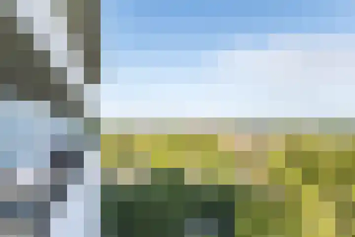 Vijfhagen 123 Breda thumbnail 32
