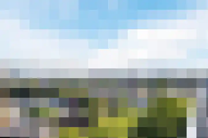Vijfhagen 123 Breda thumbnail 33