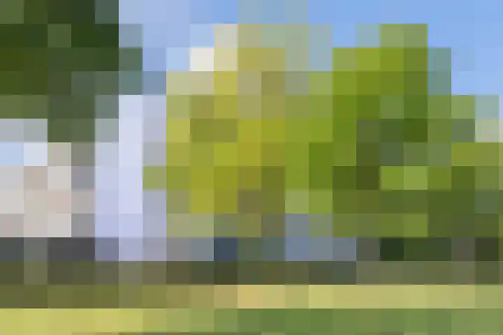 Vijfhagen 123 Breda thumbnail 4