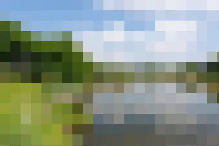 Vijfhagen 123 Breda thumbnail 44