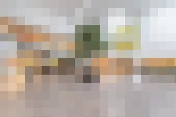 Vijfhagen 123 Breda thumbnail 46
