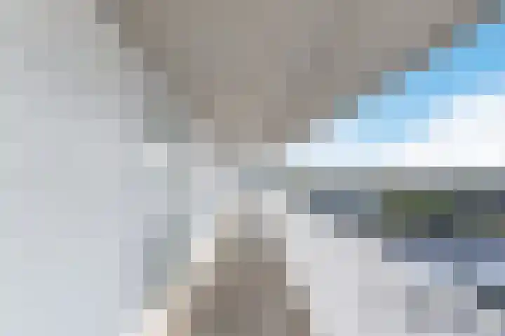 Vijfhagen 123 Breda thumbnail 8