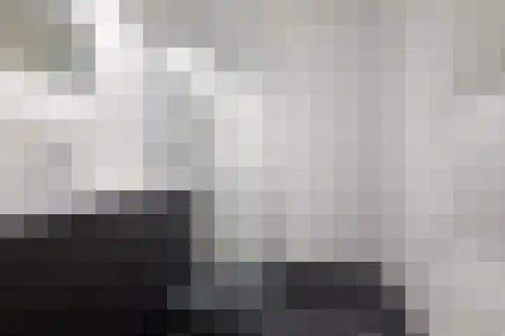 Vijfhagen 129 Breda thumbnail 16